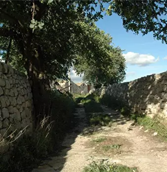 Foto annuncio 19