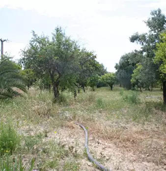 Foto annuncio 11
