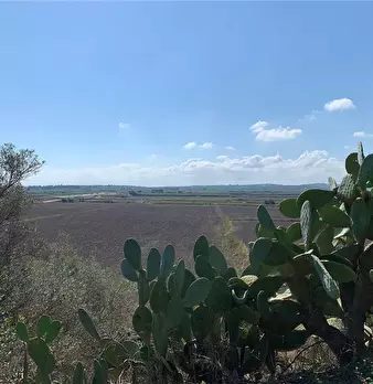 Foto annuncio 12