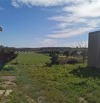 Foto annuncio 18