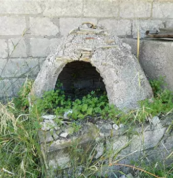 Foto annuncio 9