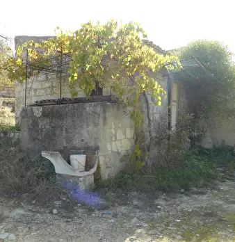 Foto annuncio 10