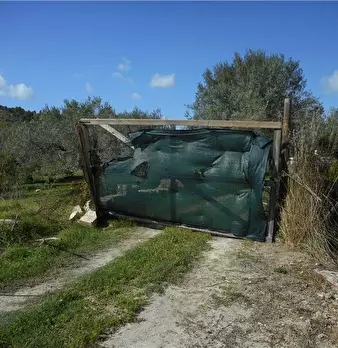 Foto annuncio 11