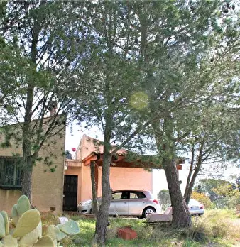 Foto annuncio 12