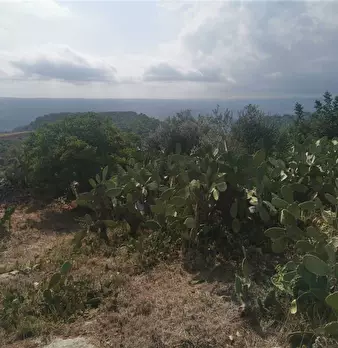 Foto annuncio 17