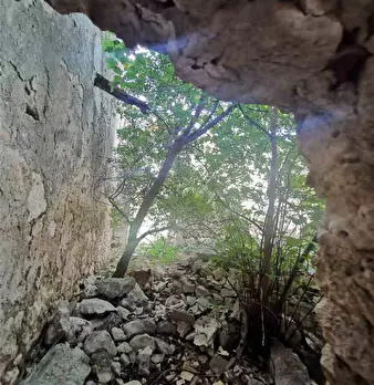 Foto annuncio 9