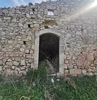 Foto annuncio 11
