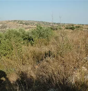 Foto annuncio 15