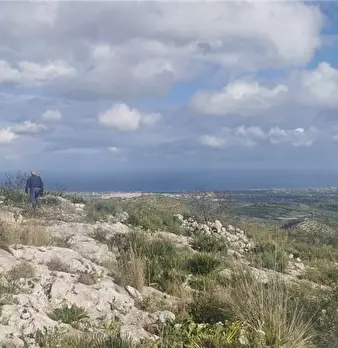Foto annuncio 19