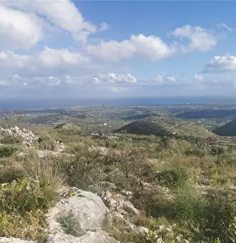 Foto annuncio 20