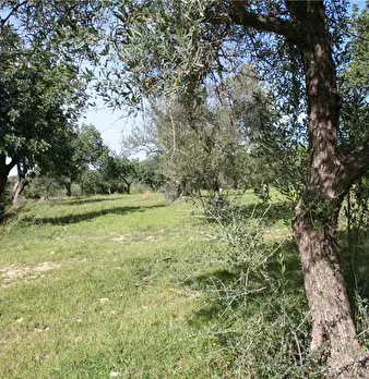 Foto annuncio 17