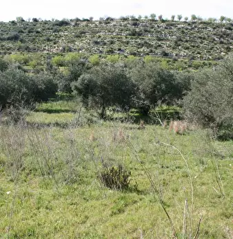Foto annuncio 20