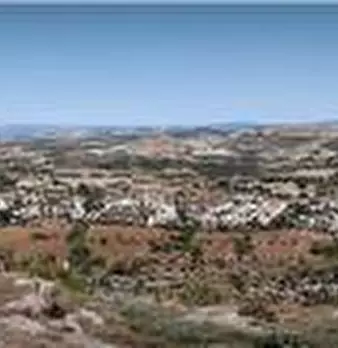 Foto annuncio 15