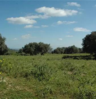 Foto annuncio 20