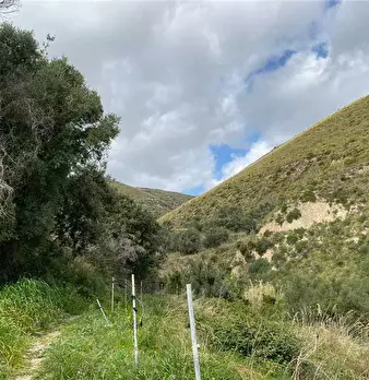Foto annuncio 11