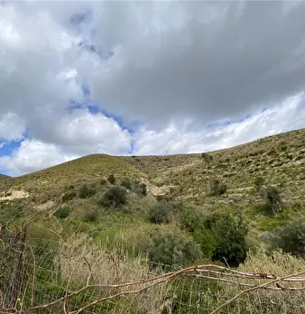 Foto annuncio 12