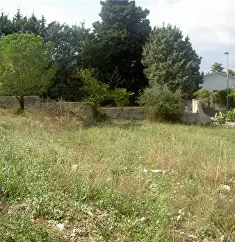 Foto annuncio 12