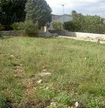 Foto annuncio 13