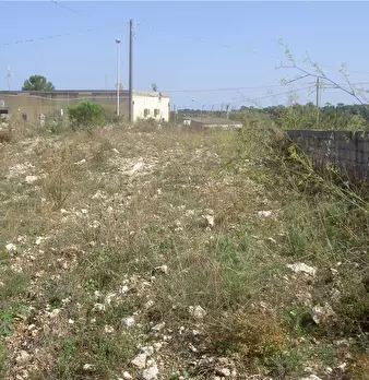 Foto annuncio 16