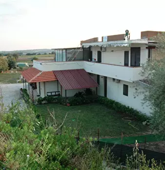 Foto annuncio 9