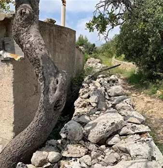 Foto annuncio 8