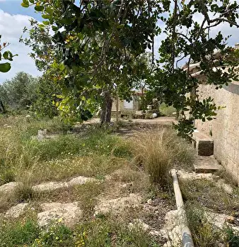 Foto annuncio 9