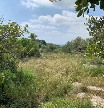 Foto annuncio 10