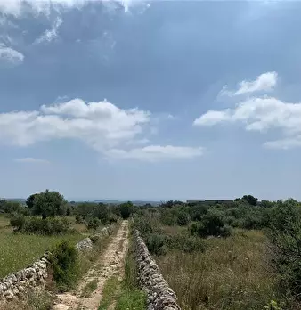 Foto annuncio 11