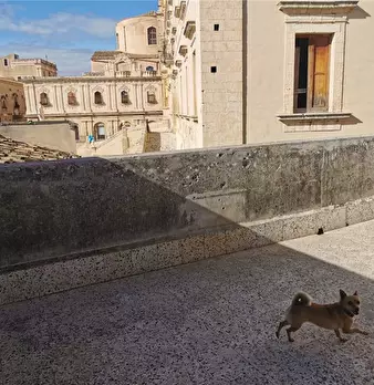 Foto annuncio 11