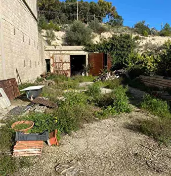 Foto annuncio 19