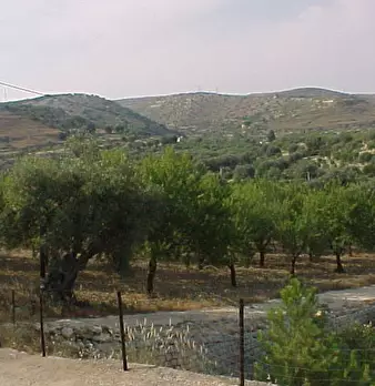 Foto annuncio 8