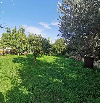Foto annuncio 16