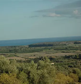 Foto annuncio 17