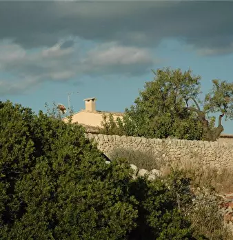 Foto annuncio 19