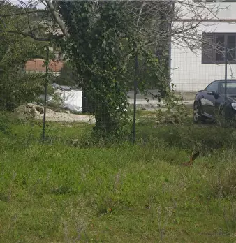 Foto annuncio 16