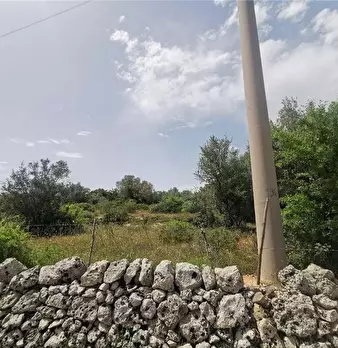 Foto annuncio 6