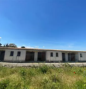 Foto annuncio 20
