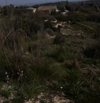 Foto annuncio 17