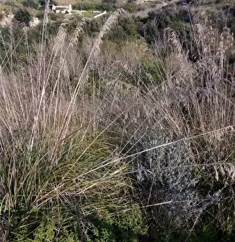 Foto annuncio 18