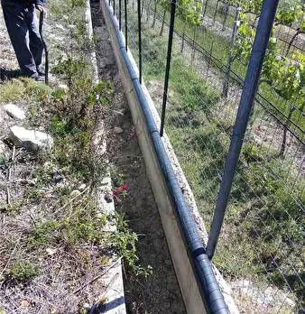 Foto annuncio 20