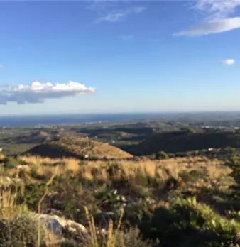Foto annuncio 16