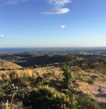 Foto annuncio 17
