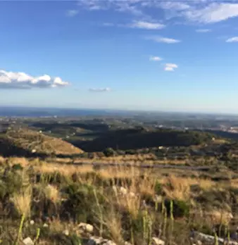 Foto annuncio 19