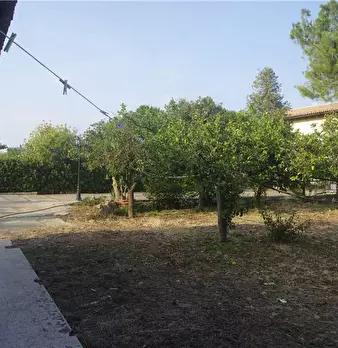 Foto annuncio 17