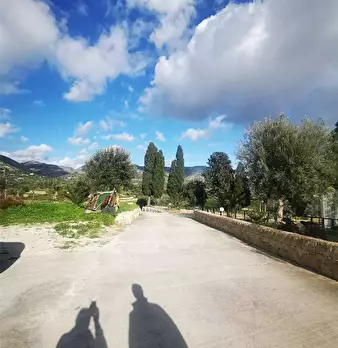 Foto annuncio 18