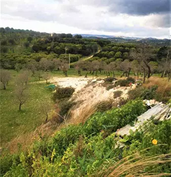 Foto annuncio 16