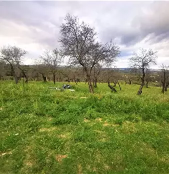 Foto annuncio 18
