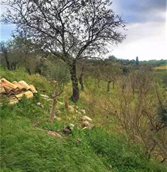 Foto annuncio 20