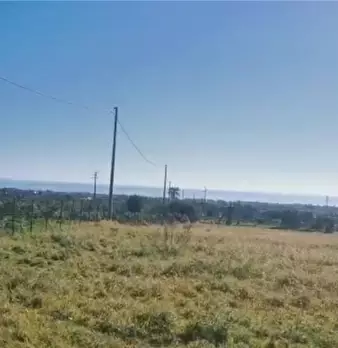 Foto annuncio 13
