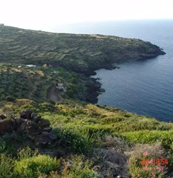 Foto annuncio 18